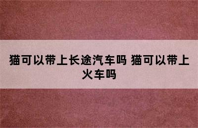 猫可以带上长途汽车吗 猫可以带上火车吗
